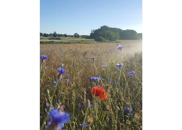 Britta Appartement Sellin (Rugen)